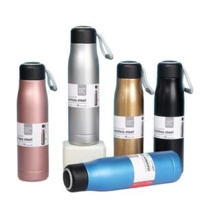 Rassi 500 ml Stainless Steel Water Bottle – Double-Wall Insulated, BPA-Free, Leak-Proof, Durable, Sports & Travel Flask-Hot and Cold Water Bottle | Pack of 1 (Multicolour)